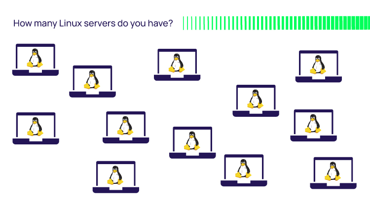 How many Linux servers do you have?