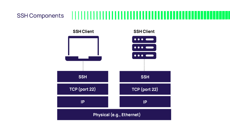 NAS: Enable SCP and password-less SSH login