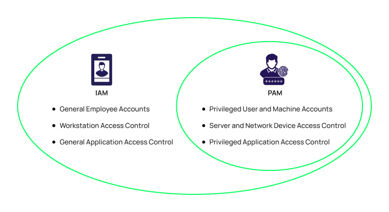 What is Identity and Access Management (IAM)? | Delinea