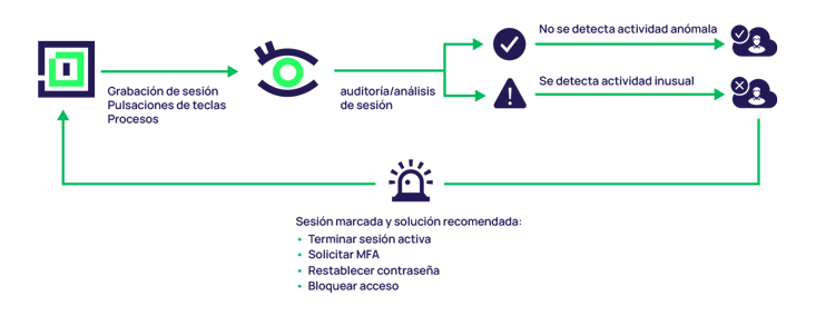 delinea-diagram-iris-audit-ES