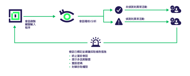 delinea-diagram-iris-audit-ZH