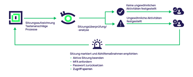 delinea-diagram-iris-audit-de
