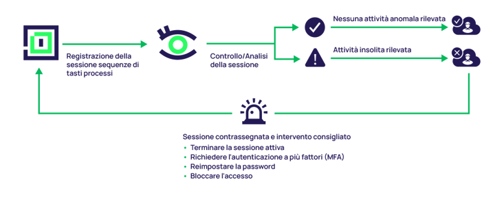 delinea-diagram-iris-audit-it