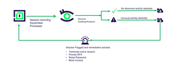 delinea-diagram-iris-audit