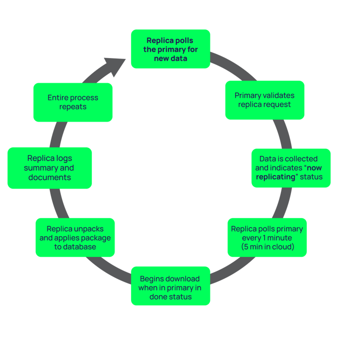 delinea-diagram-web-replica