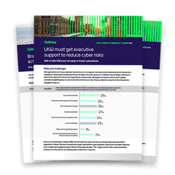 Global Survey of Cybersecurity Leaders: Regional Security Report