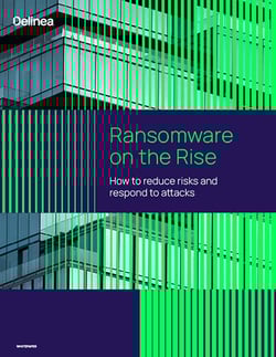 Ransomware on the Rise: How to reduce risks and respond to attacks