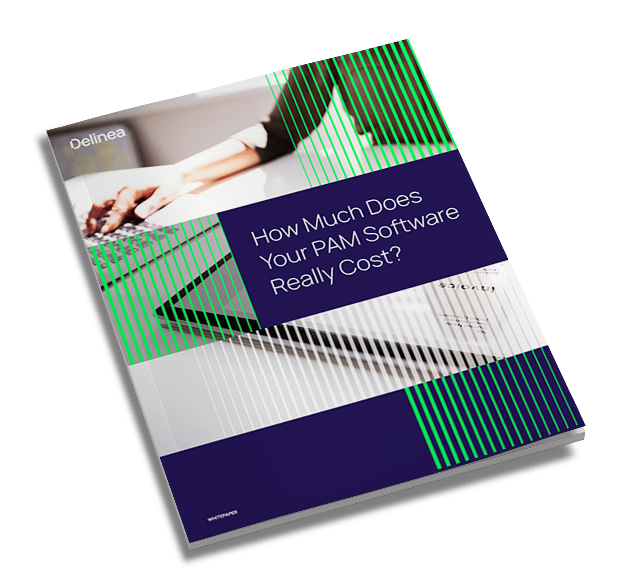 delinea-image-whitepaper-tco-pam-software-thumbnail-angled