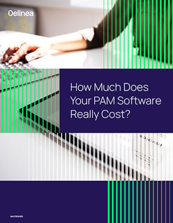 How much does your PAM software really cost?