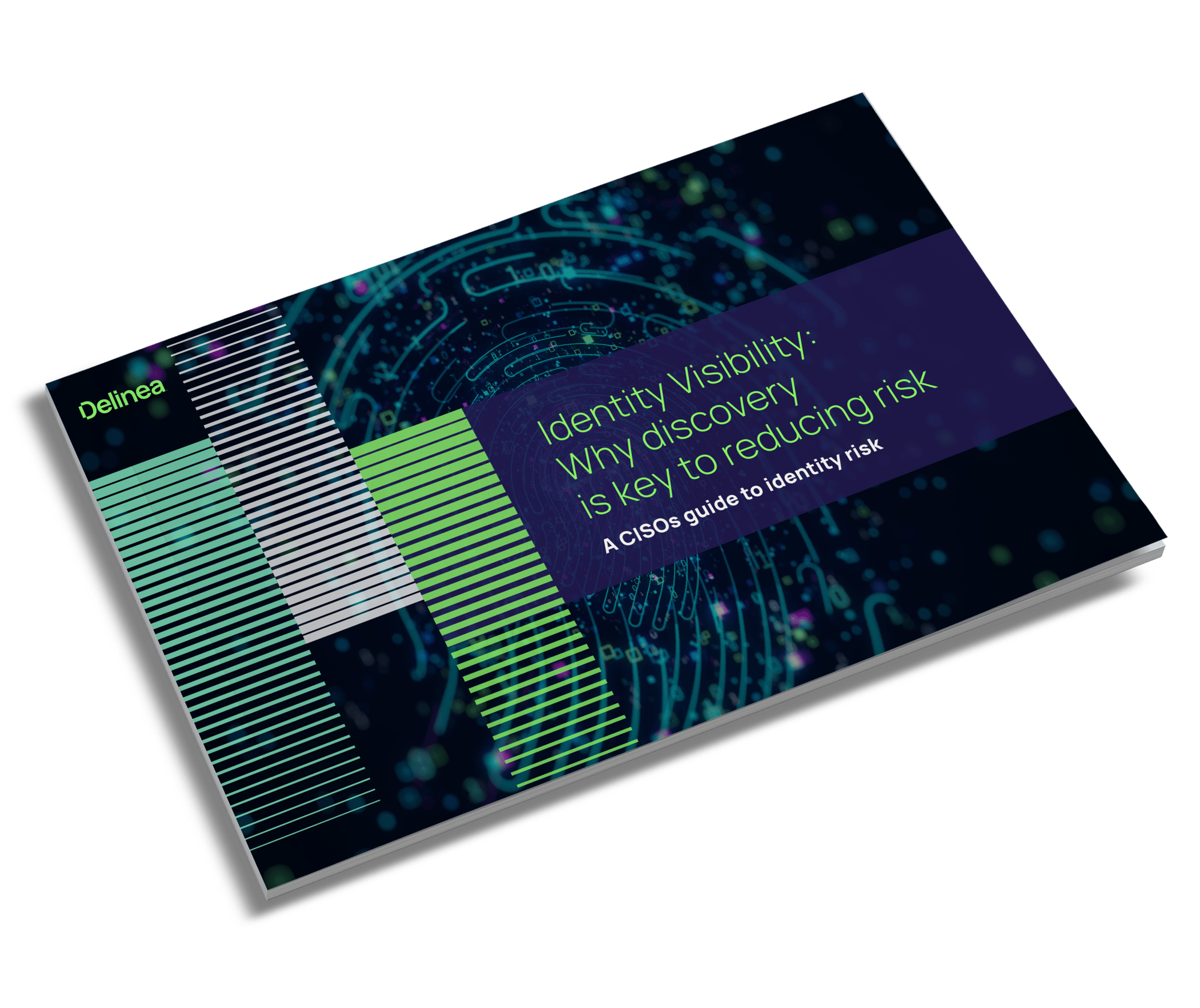 delinea-image-ebook-discovery-inventory-identity-visibility-angled-cover