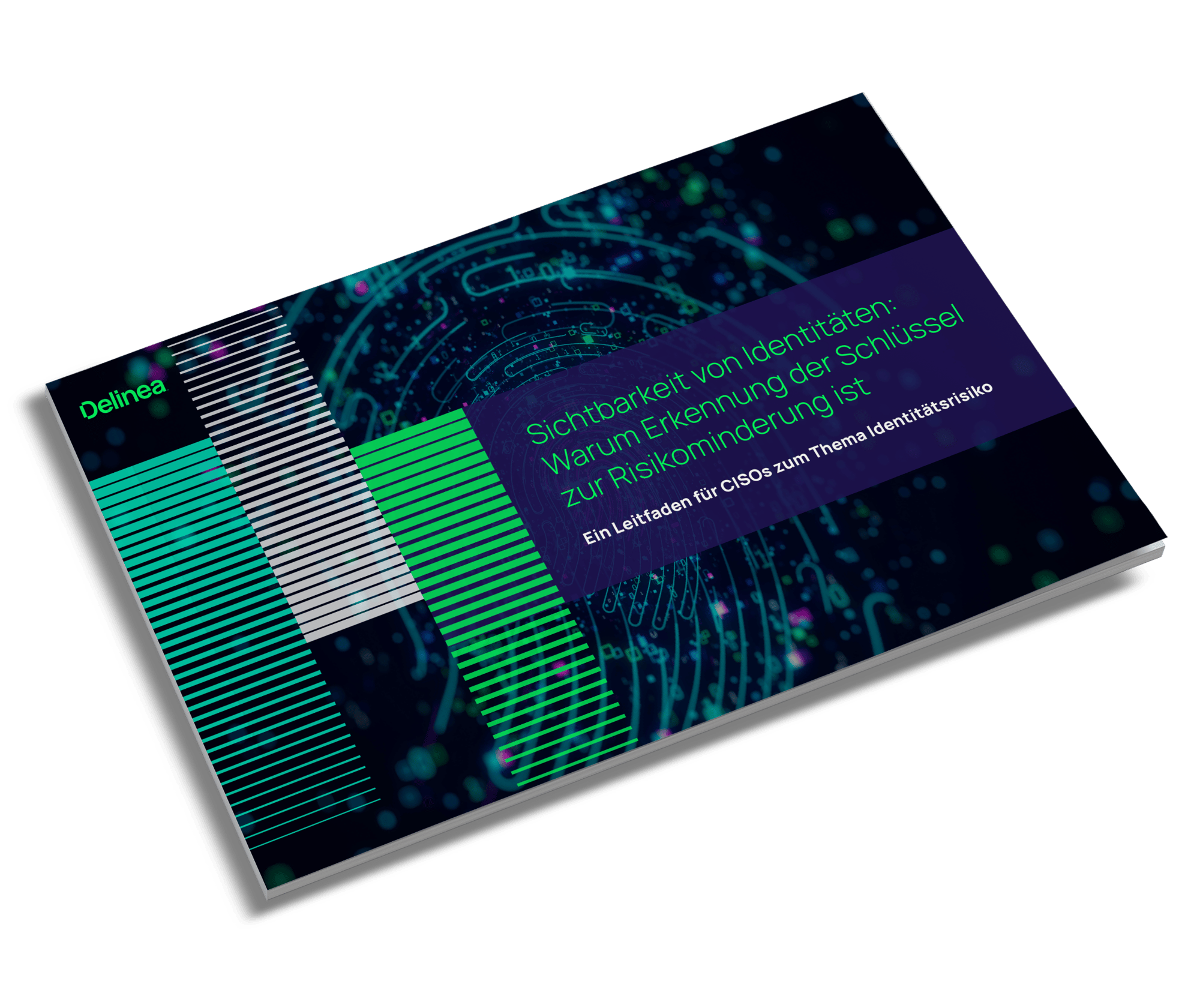 delinea-image-ebook-discovery-inventory-identity-visibility-de-angled-cover