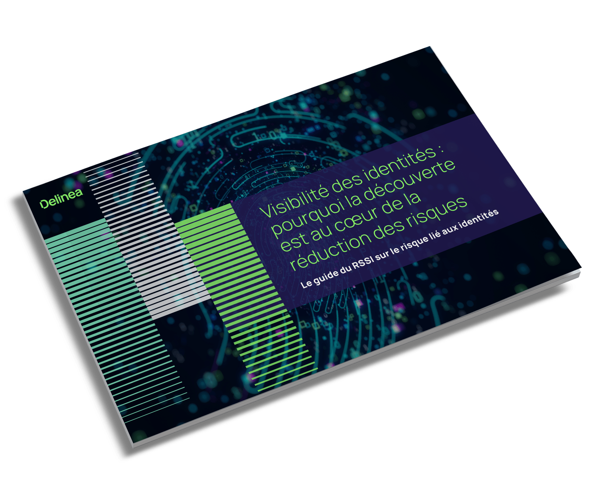 delinea-image-ebook-discovery-inventory-identity-visibility-fr-thumbnail