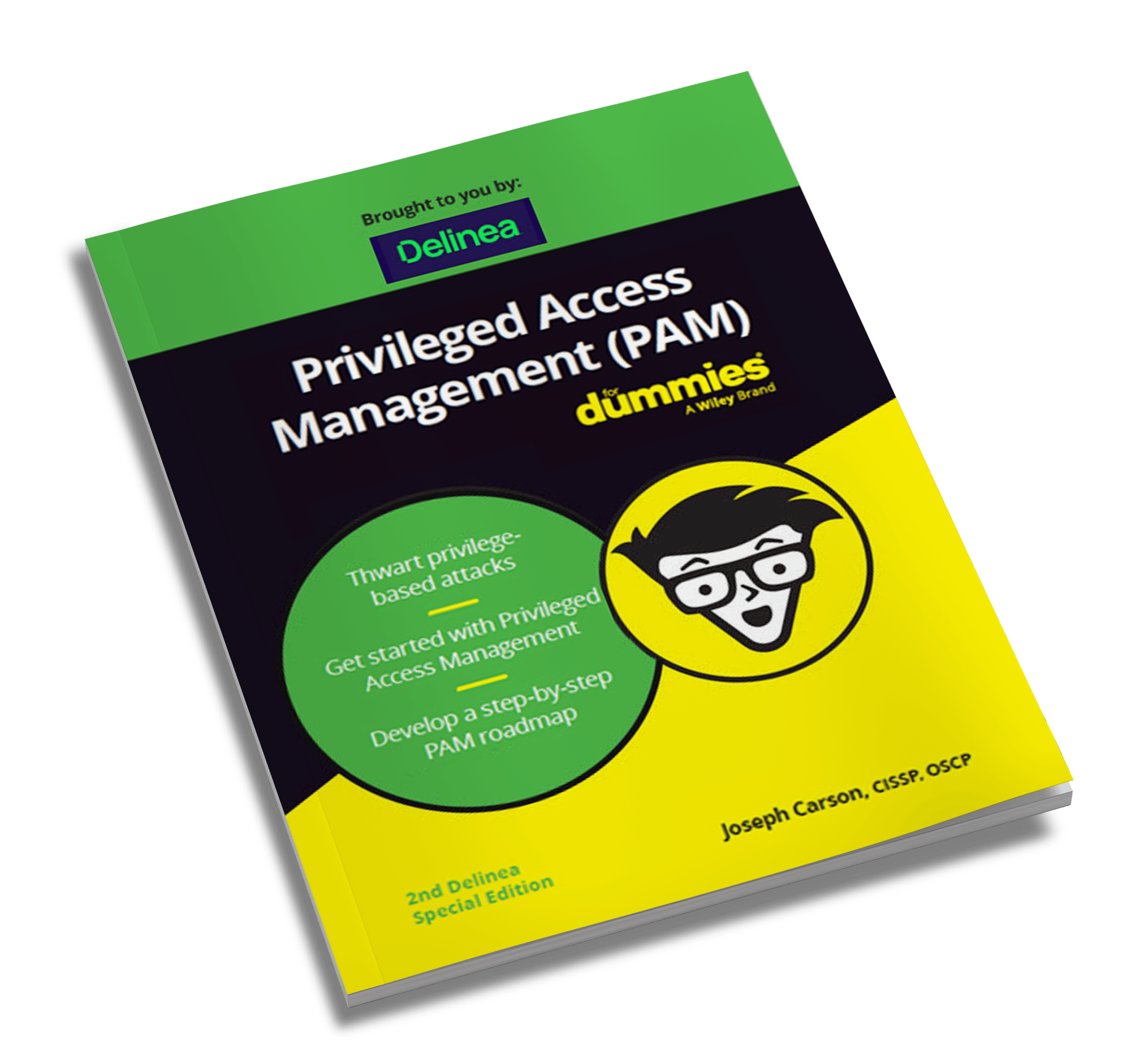 delinea-image-ebook-pam-for-dummies-cover delinea-image-ebook-pam-for-dummies-cover