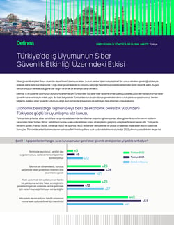 delinea-image-whitepaper-2023-global-survey-report-regional-turkey-tr-thumbnail