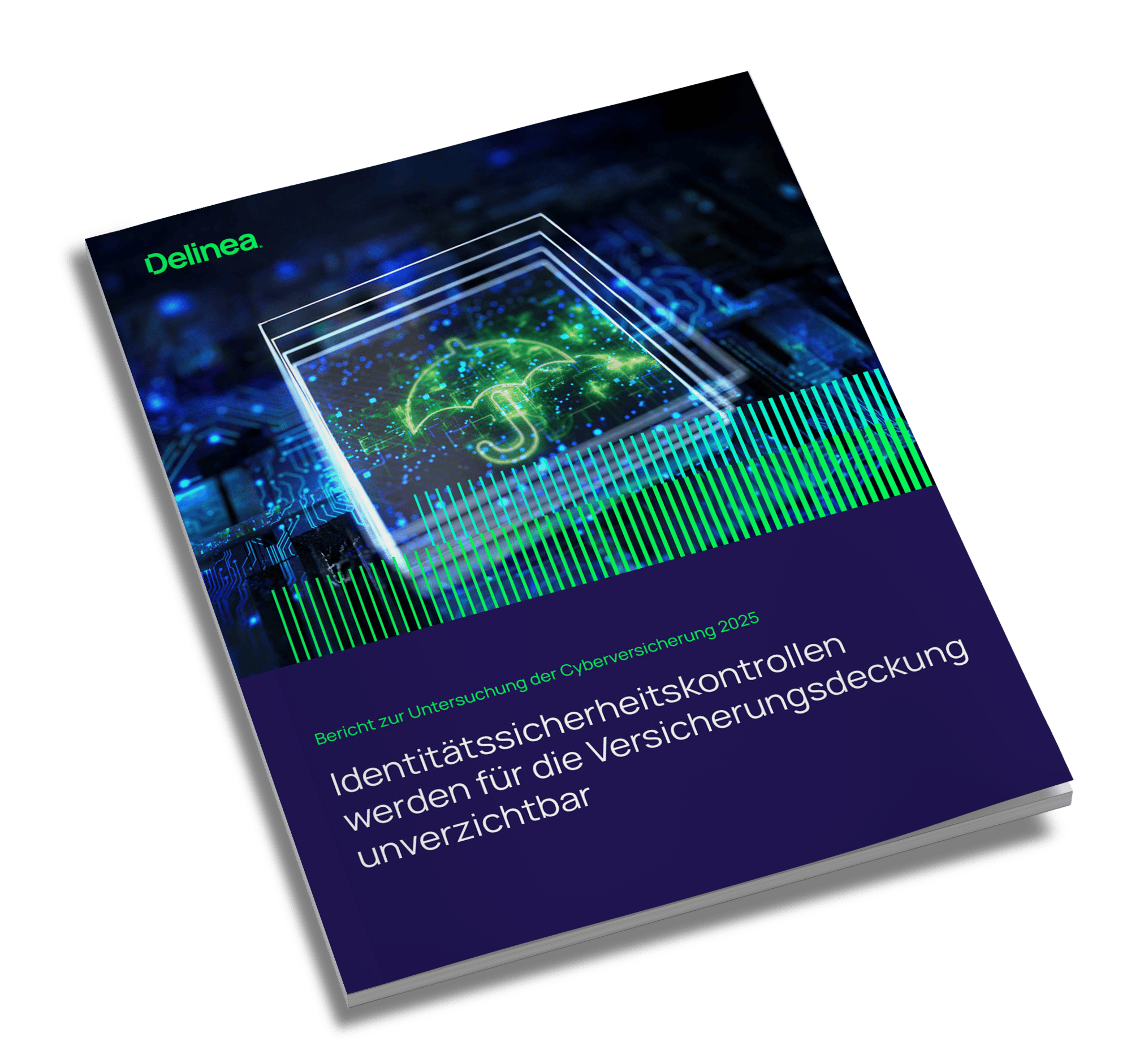 delinea-image-wp-2025-cyber-insurance-de-angled-cover