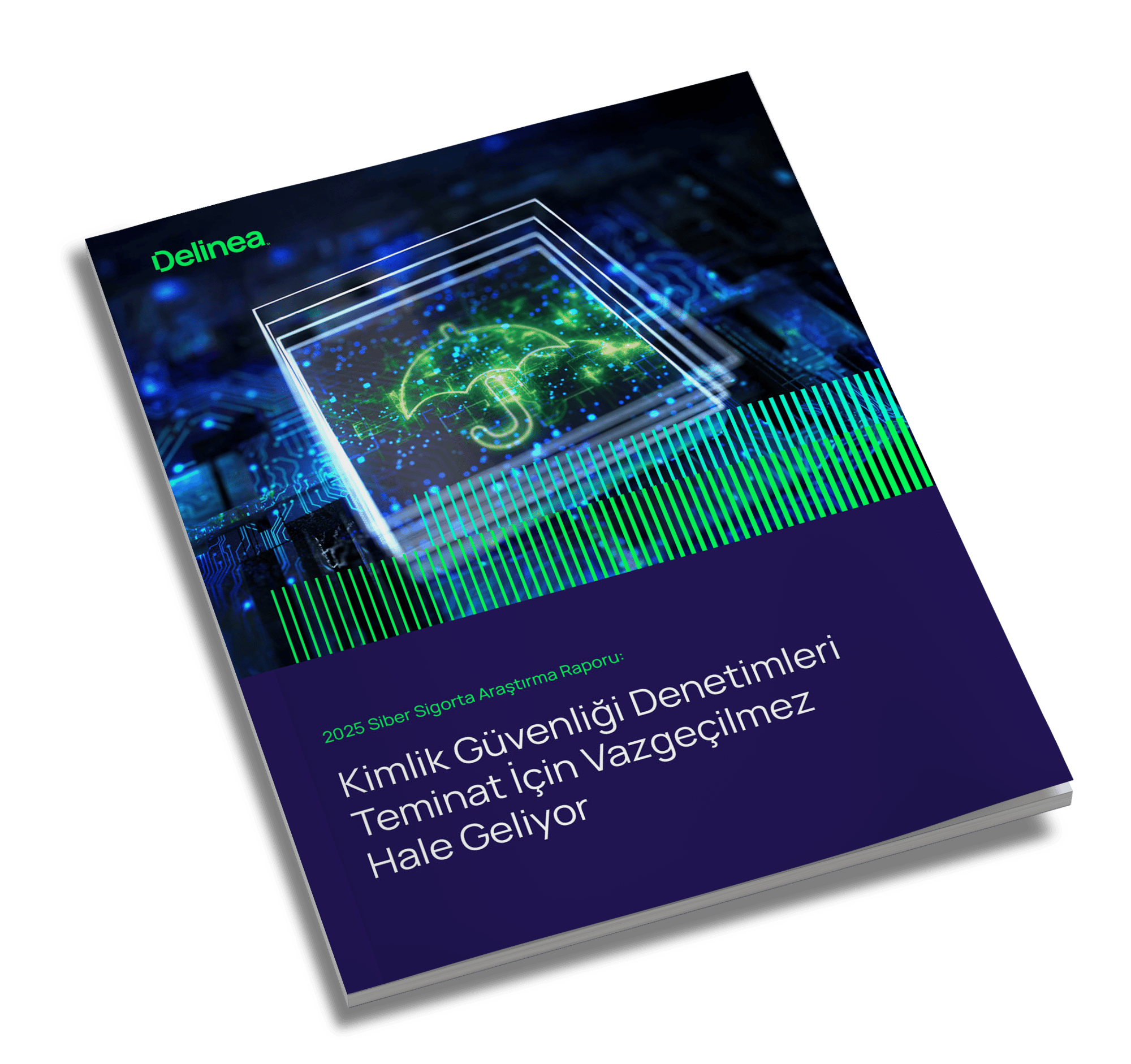 delinea-image-wp-2025-cyber-insurance-tr-angled-cover.jpg