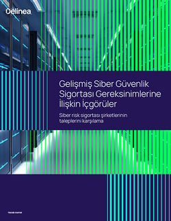 delinea-image-wp-cyber-insurance-mapping-tr-thumbnail