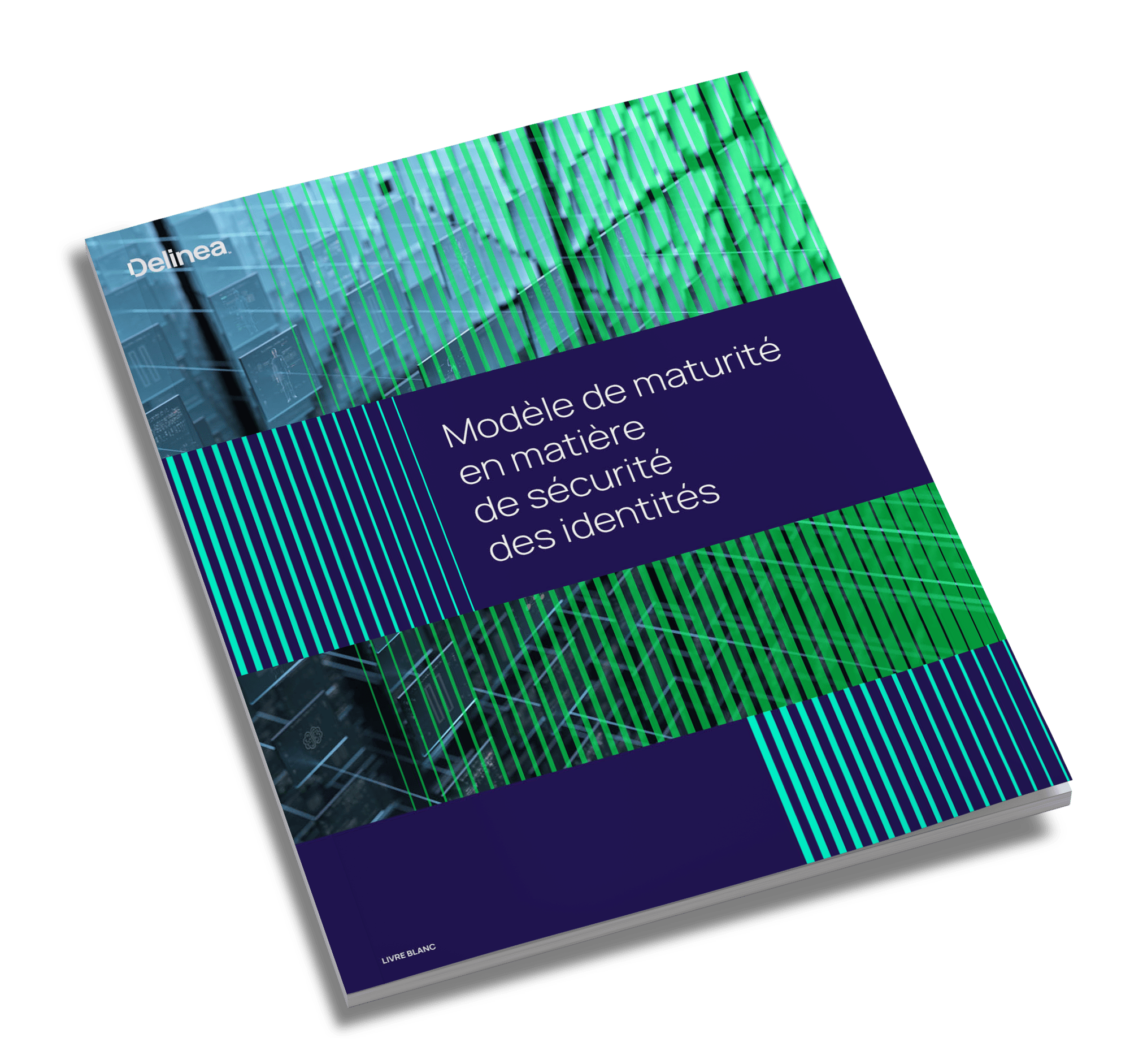 delinea-image-wp-identity-security-maturity-model-fr-angled-cover