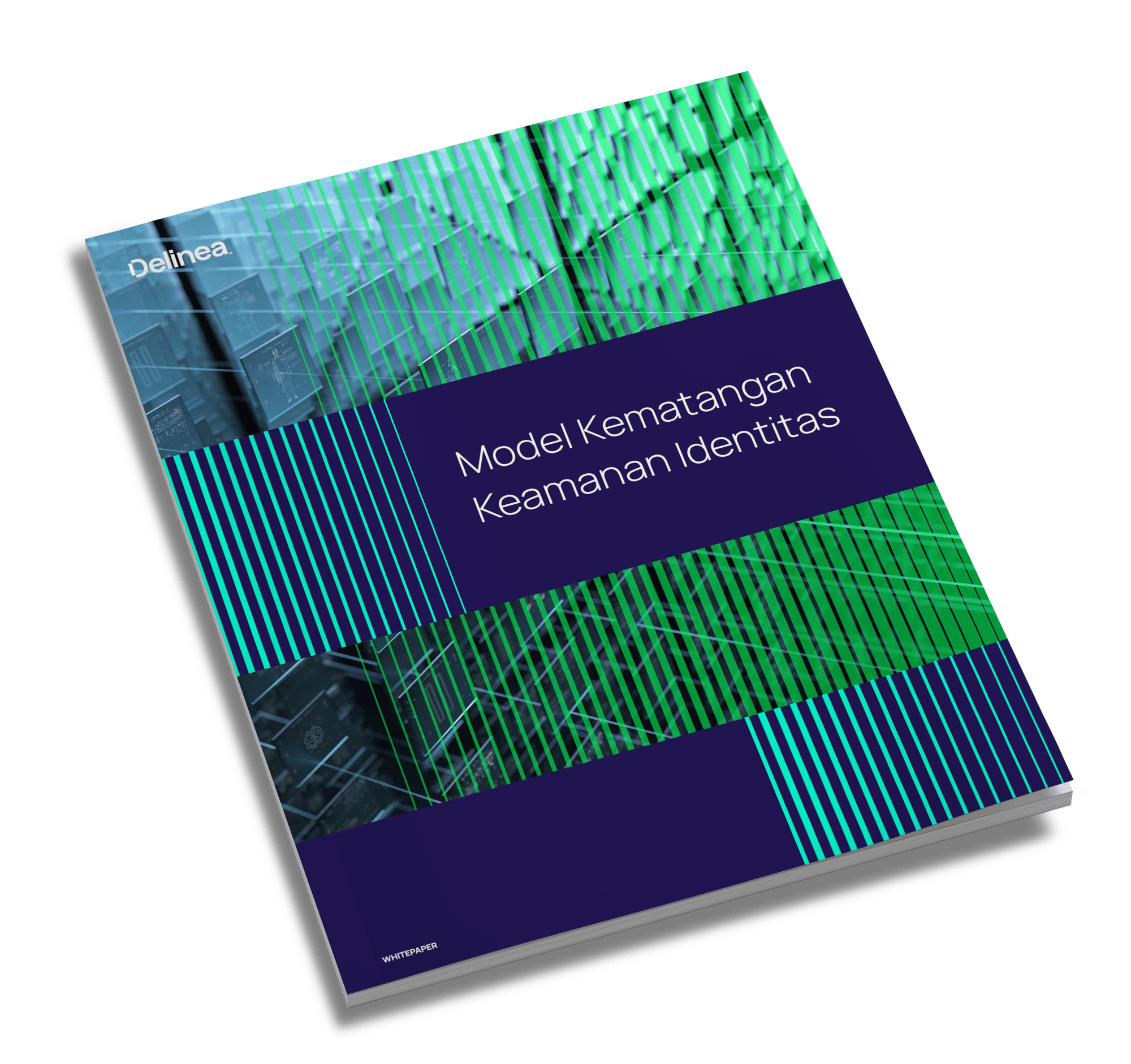 delinea-image-wp-identity-security-maturity-model-id-angled-cover