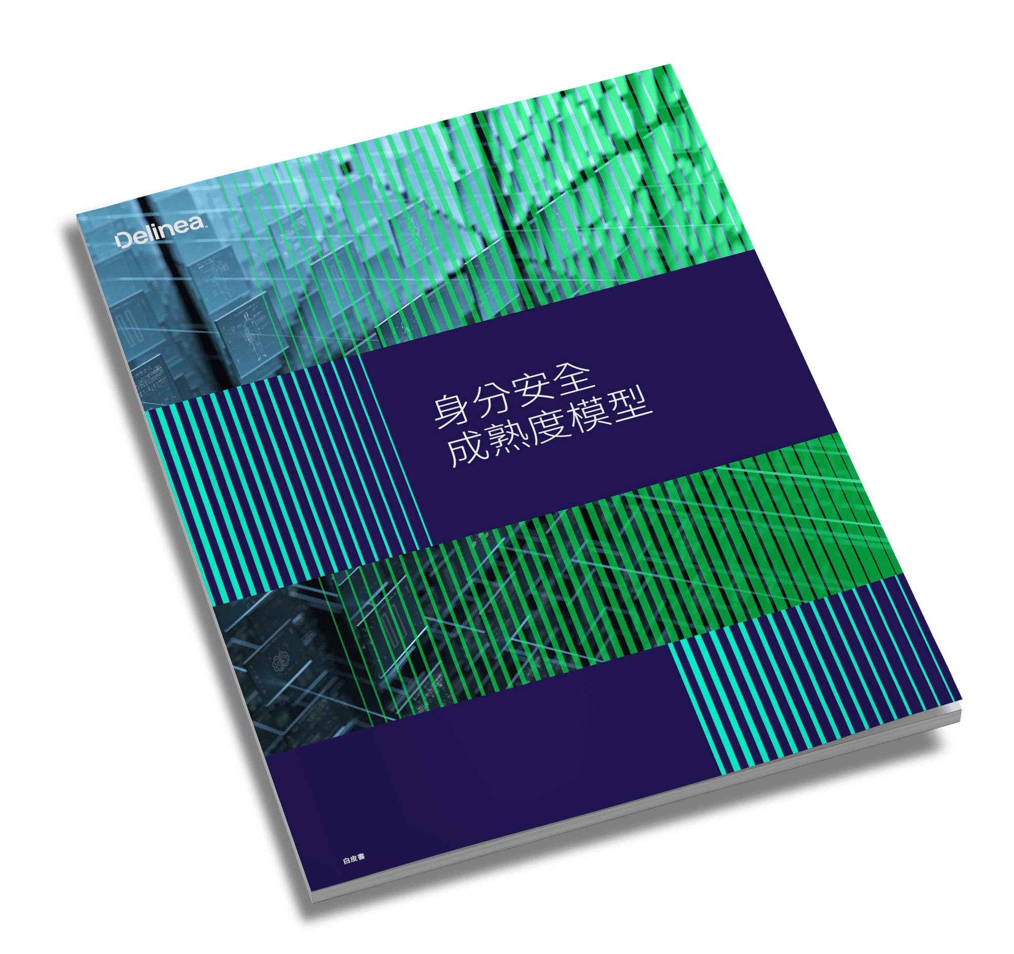 delinea-image-wp-identity-security-maturity-model-zh-angled-cover