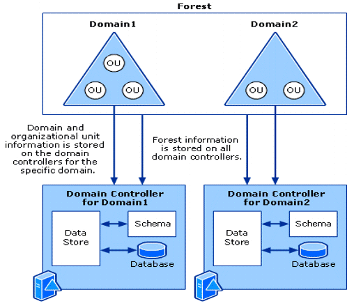 Active Directory Structure