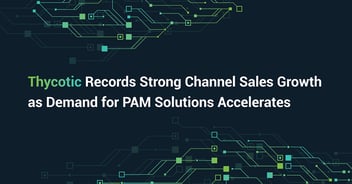 Thycotic Records Strong 2020 Channel Sales Growth as Demand for PAM Solutions Accelerates