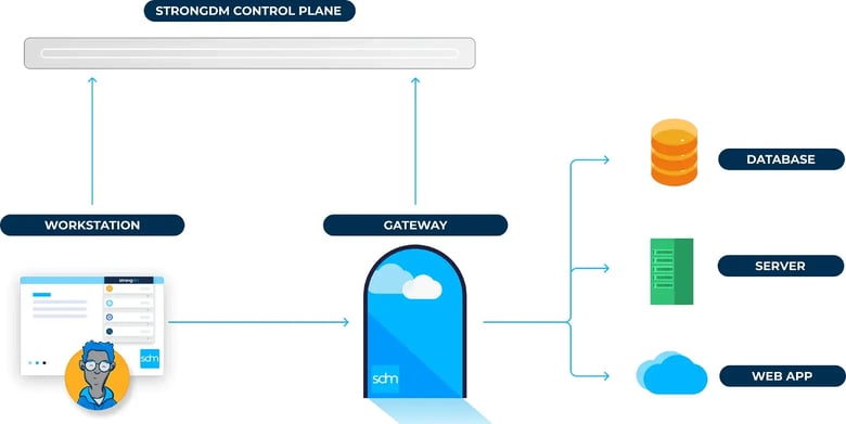 Delinea control plane