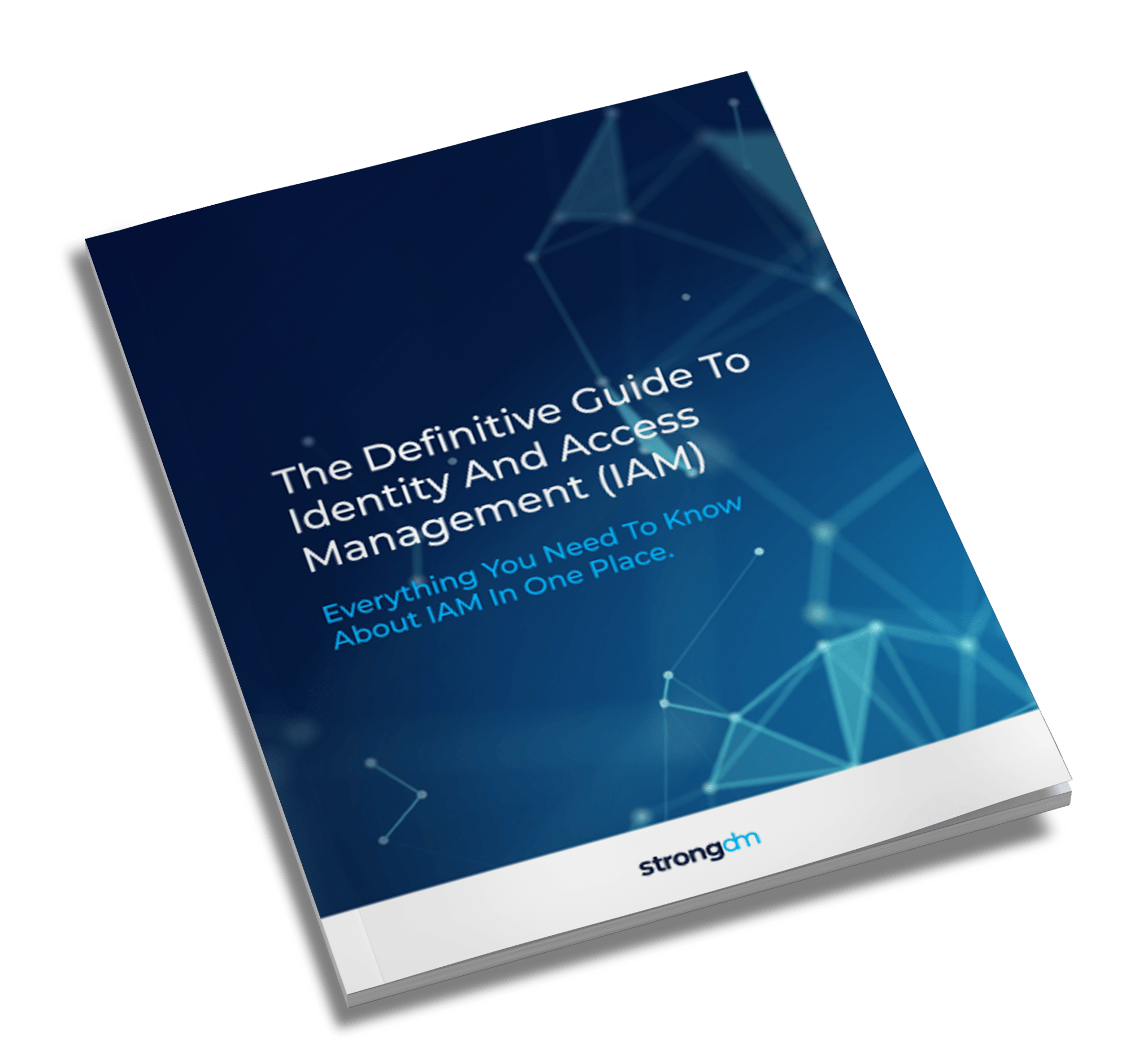 The Definitive Guide to IAM