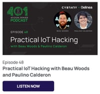 Podcast Episode 48 Practical IoT Hacking