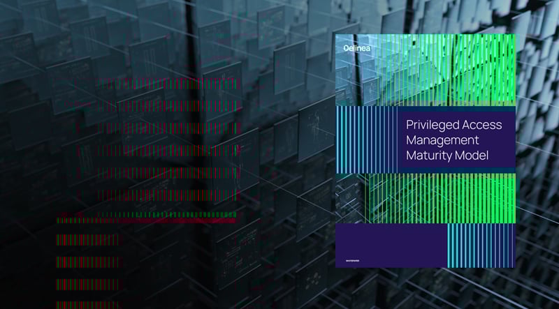 delinea-image-maturity-whitepaper delinea-image-maturity-whitepaper