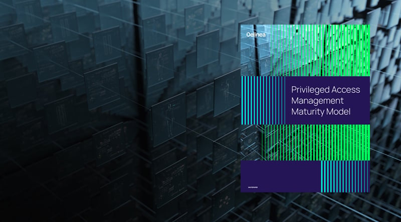 delinea-image-maturity-whitepaper