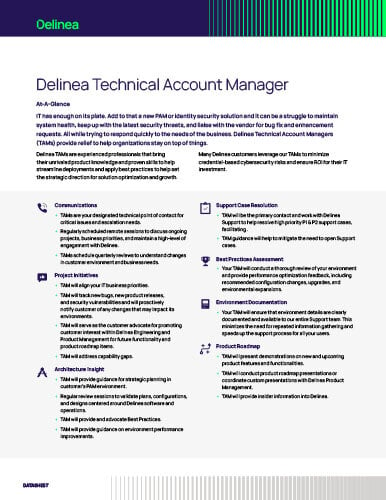 Delinea Technical Account Manager