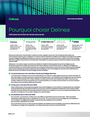 Delinea Brochure D’Entreprise