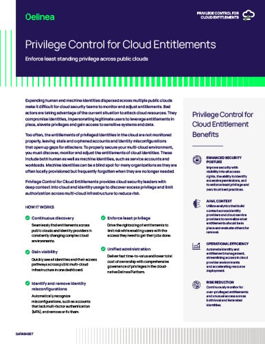 Privilege Control for Cloud Entitlements