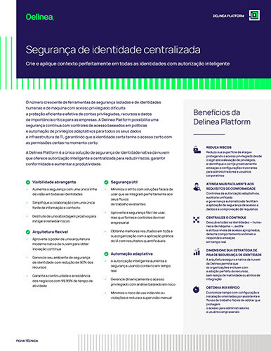 delinea-image-datasheet-platform-pt-thumbnail