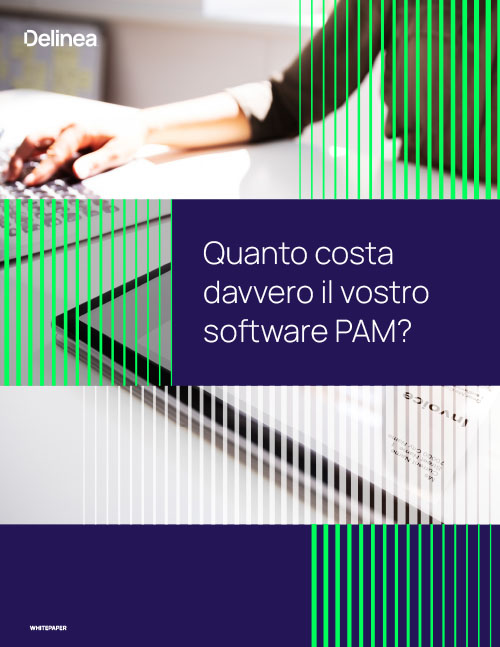 Quanto costa davvero il vostro software PAM?  