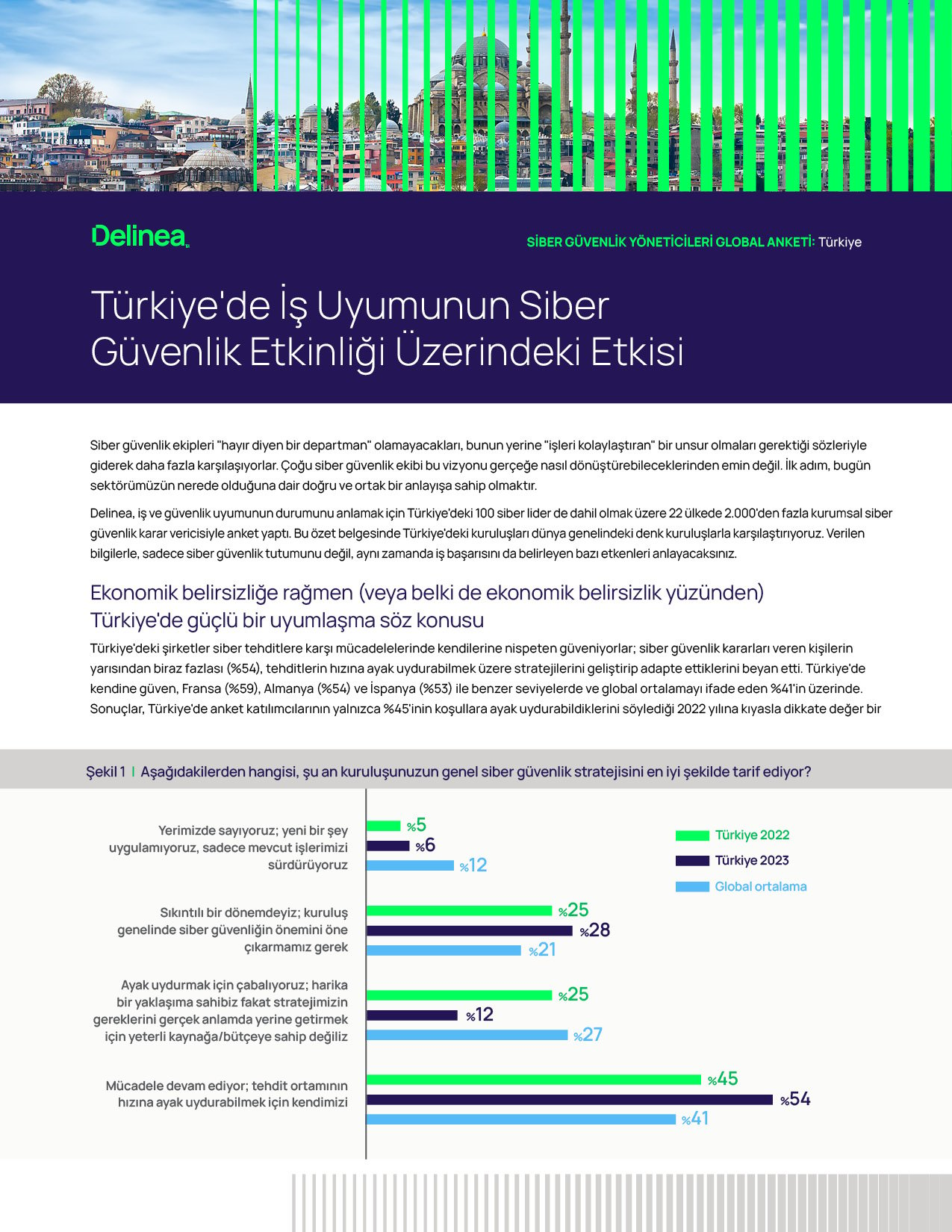Türkiye`de İş Uyumunun Siber Güvenlik Etkinliği Üzerindeki Etkisi