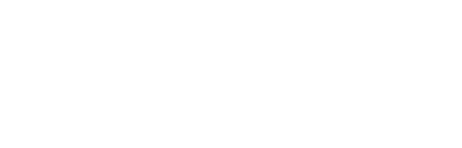 delinea-logo-noesis delinea-logo-noesis