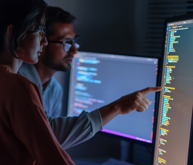 Colleagues viewing monitors