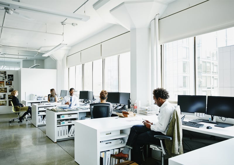 delinea-photo-workstation-workers